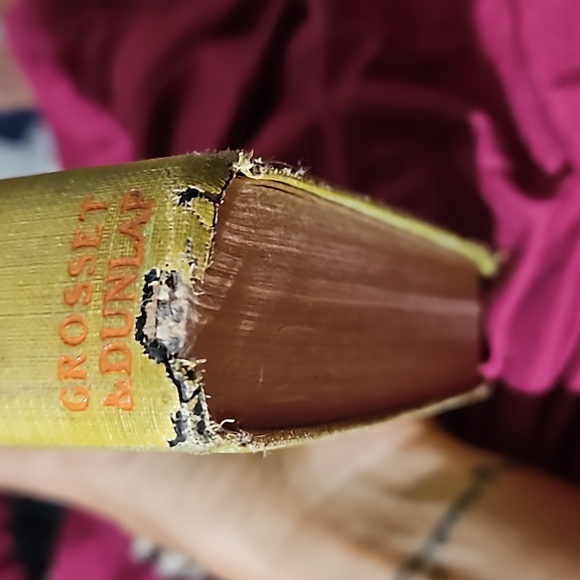 1929 1st printing The stray Lamb by Thorne Smith Antique - Picture 6 of 6